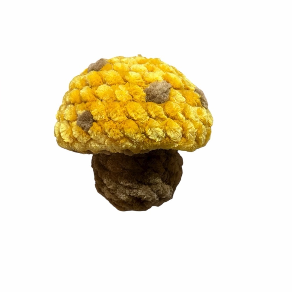 Crochet Mushroom Pop Toy